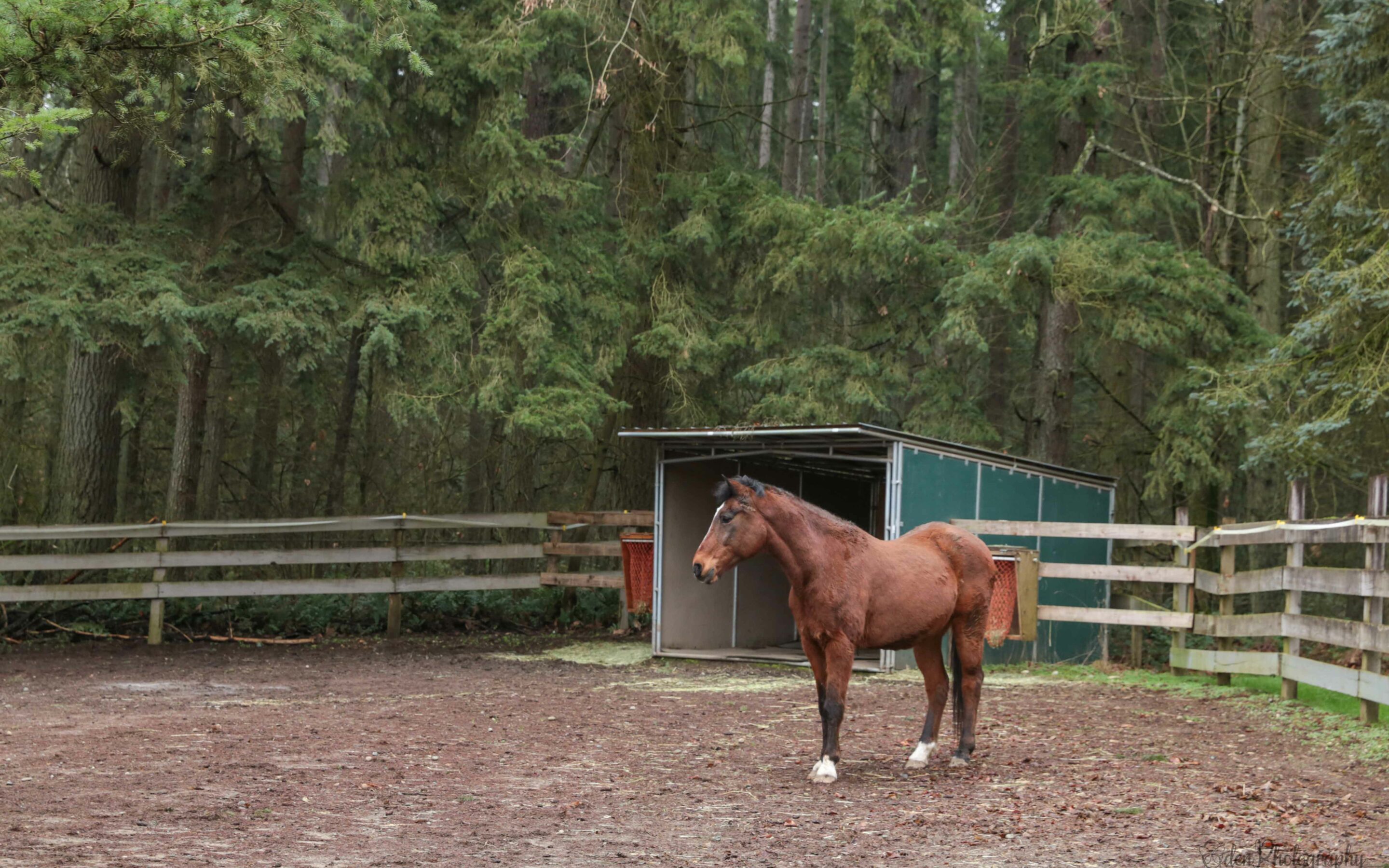 Mac In Search of a Perfect Home