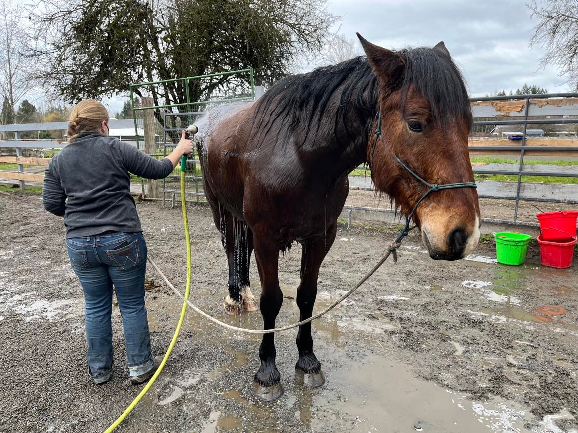 Bath Day for Cramer