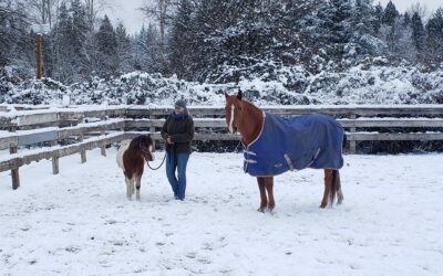 Coco’s First Snow!