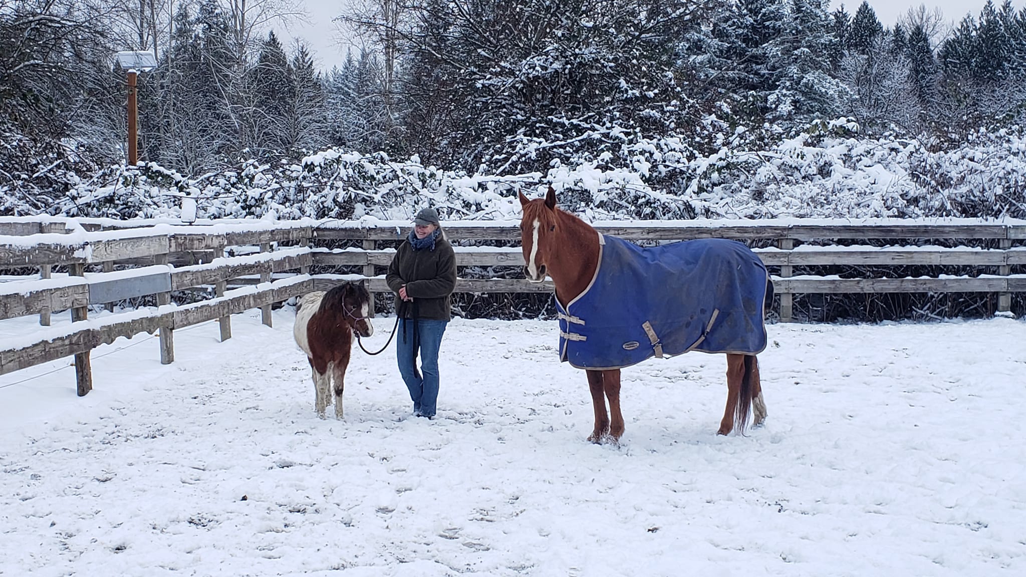 Coco’s First Snow!