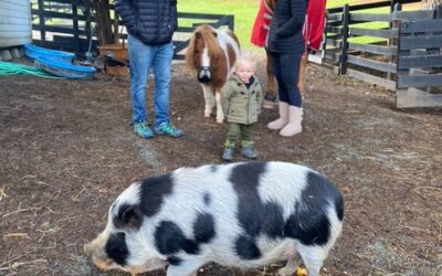 Alumni Update: Dottie