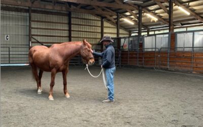 Bob at the Horsemanship Gathering with Freya