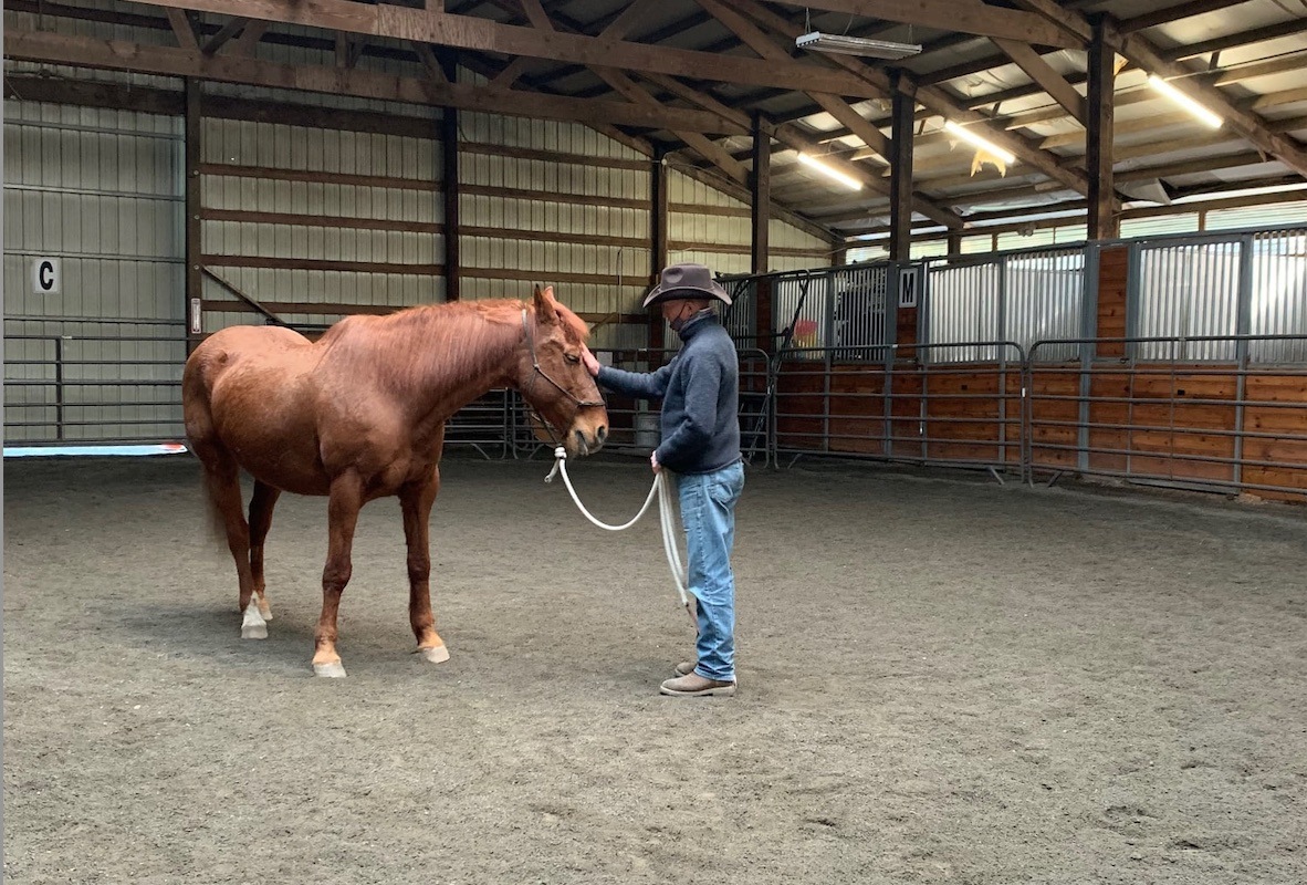 Bob at the Horsemanship Gathering with Freya
