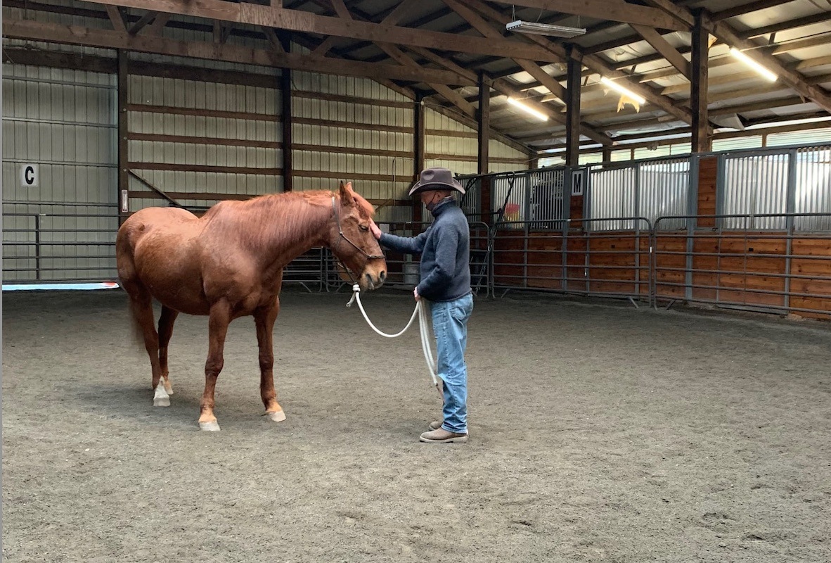 Bob at the Horsemanship Gathering with Freya