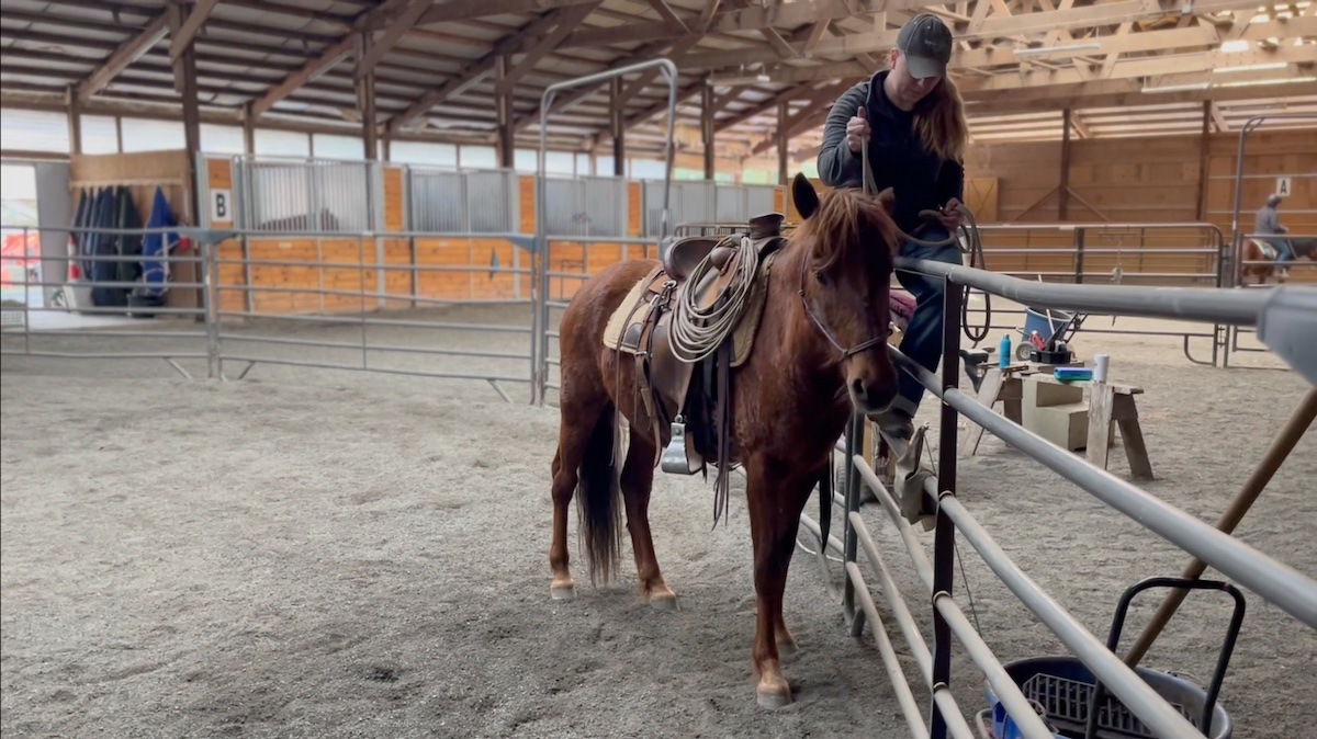 Training Update: Edward Bumping up to the Rail