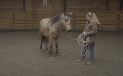 Otto Training Update: Giving to Pressure