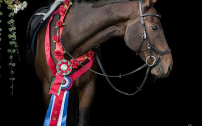 A Great Horse is Gone