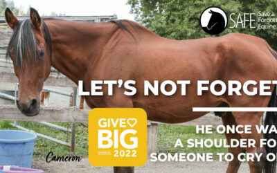 GiveBIG is May 3–4th!