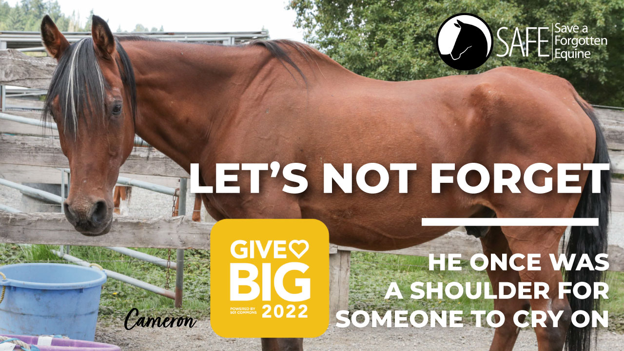 GiveBIG is May 3–4th!
