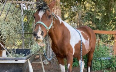 Alumni Update: Khianna (AKA Kiki)