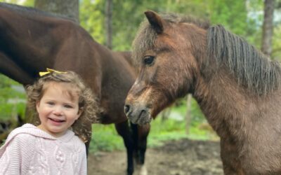 Alumni Update: Topper