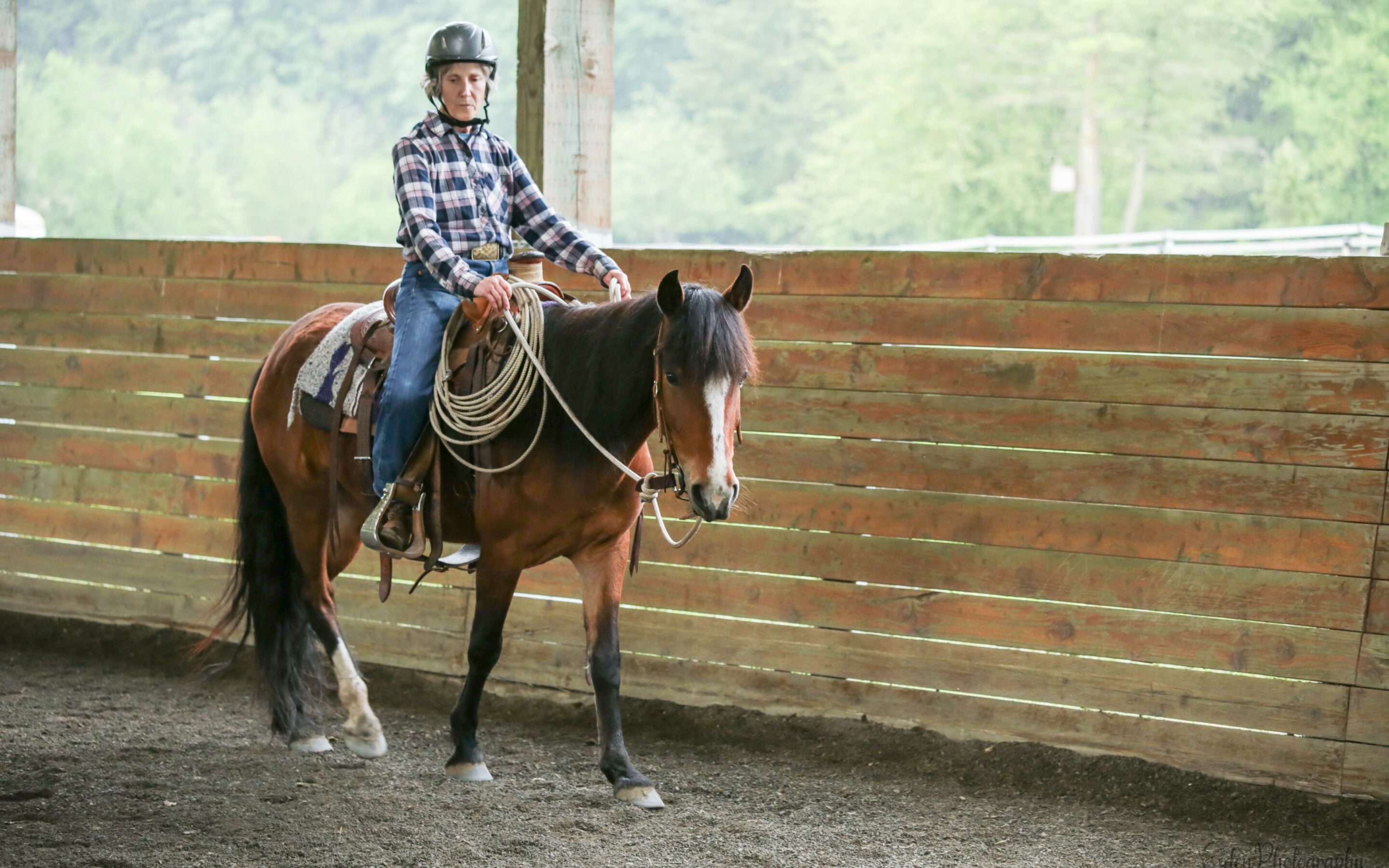 June Joel Conner Clinic Update: Pepper