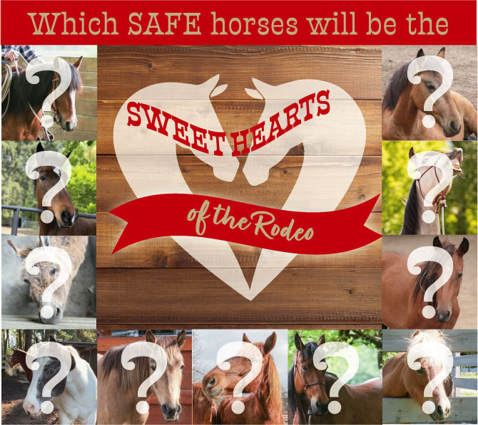 SweetHearts of the Rodeo is Underway!