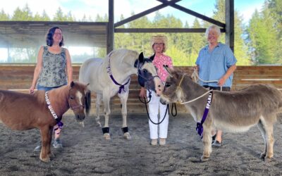 Rodeo Fundraising Results
