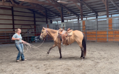 Training Update: Rope work with Esme