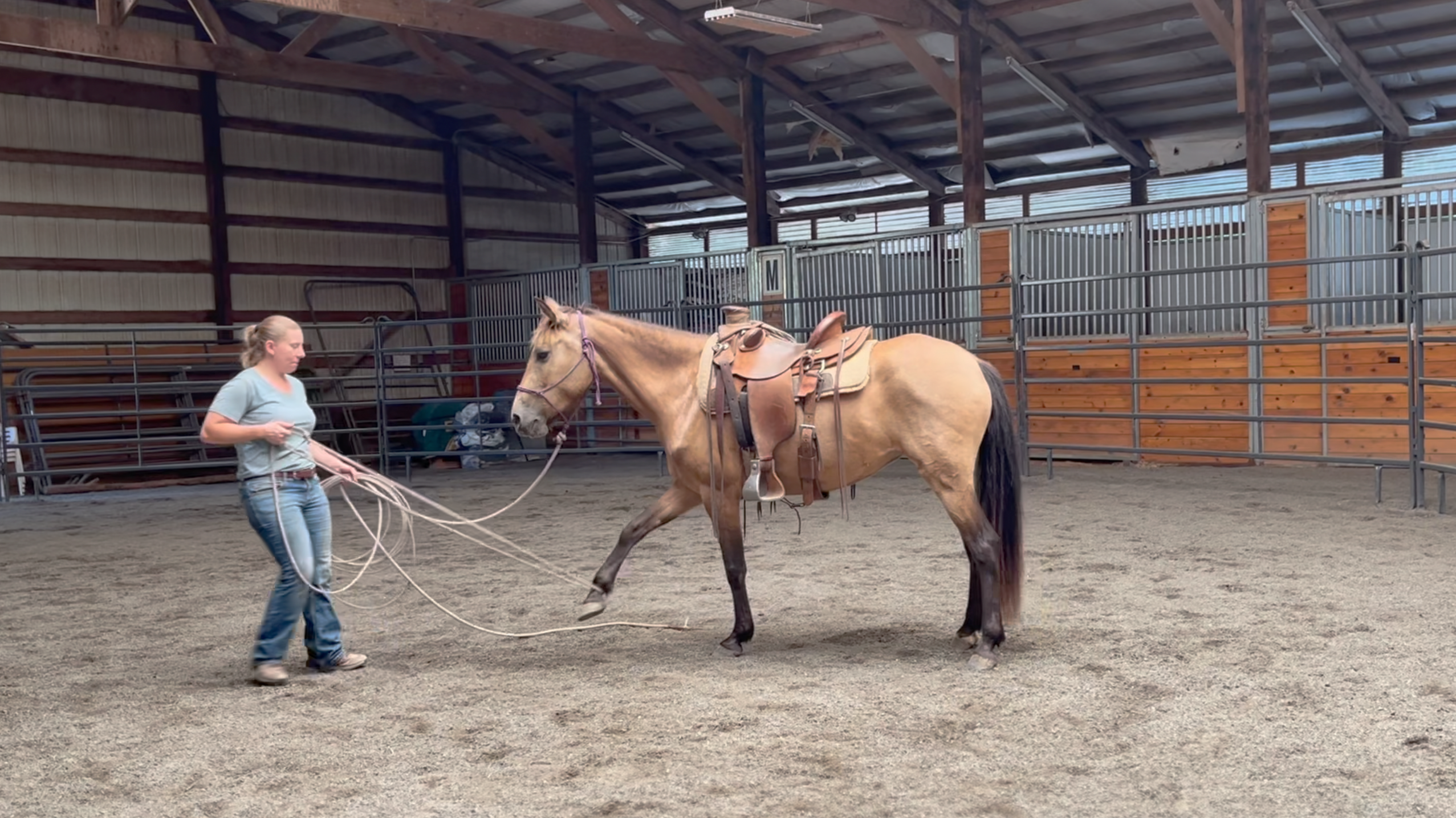 Training Update: Rope work with Esme