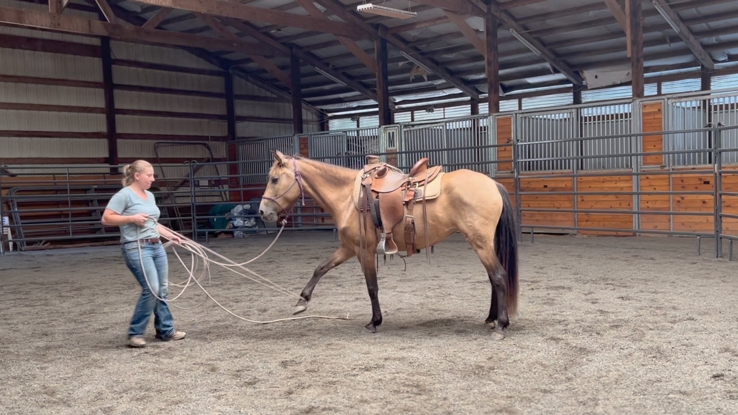 Training Update: Rope work with Esme