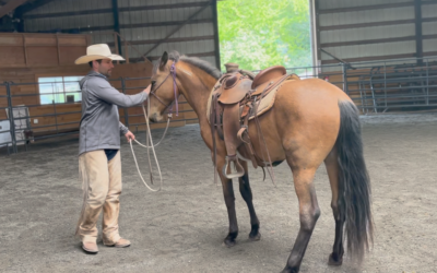 Otto Under Saddle