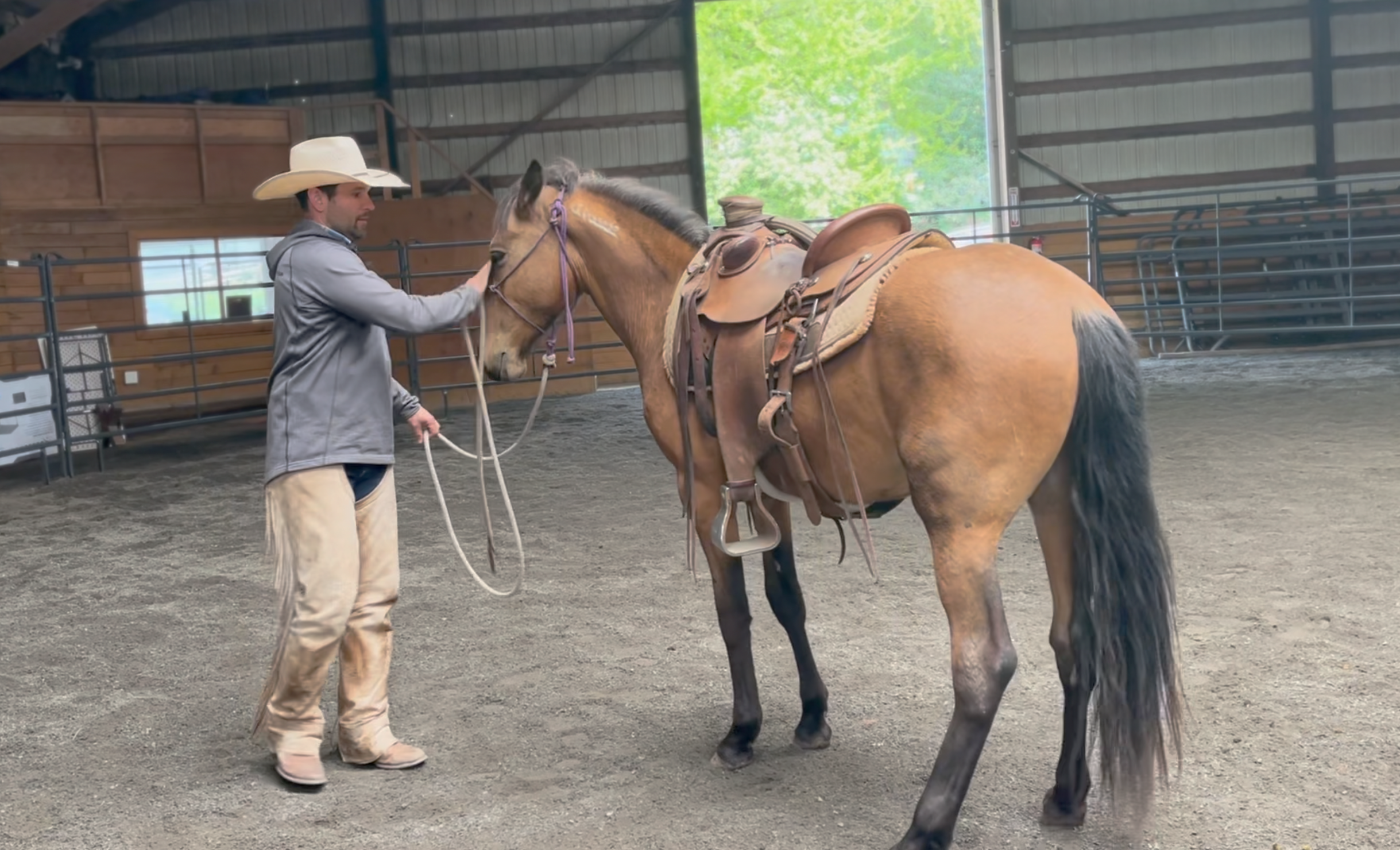 Otto Under Saddle