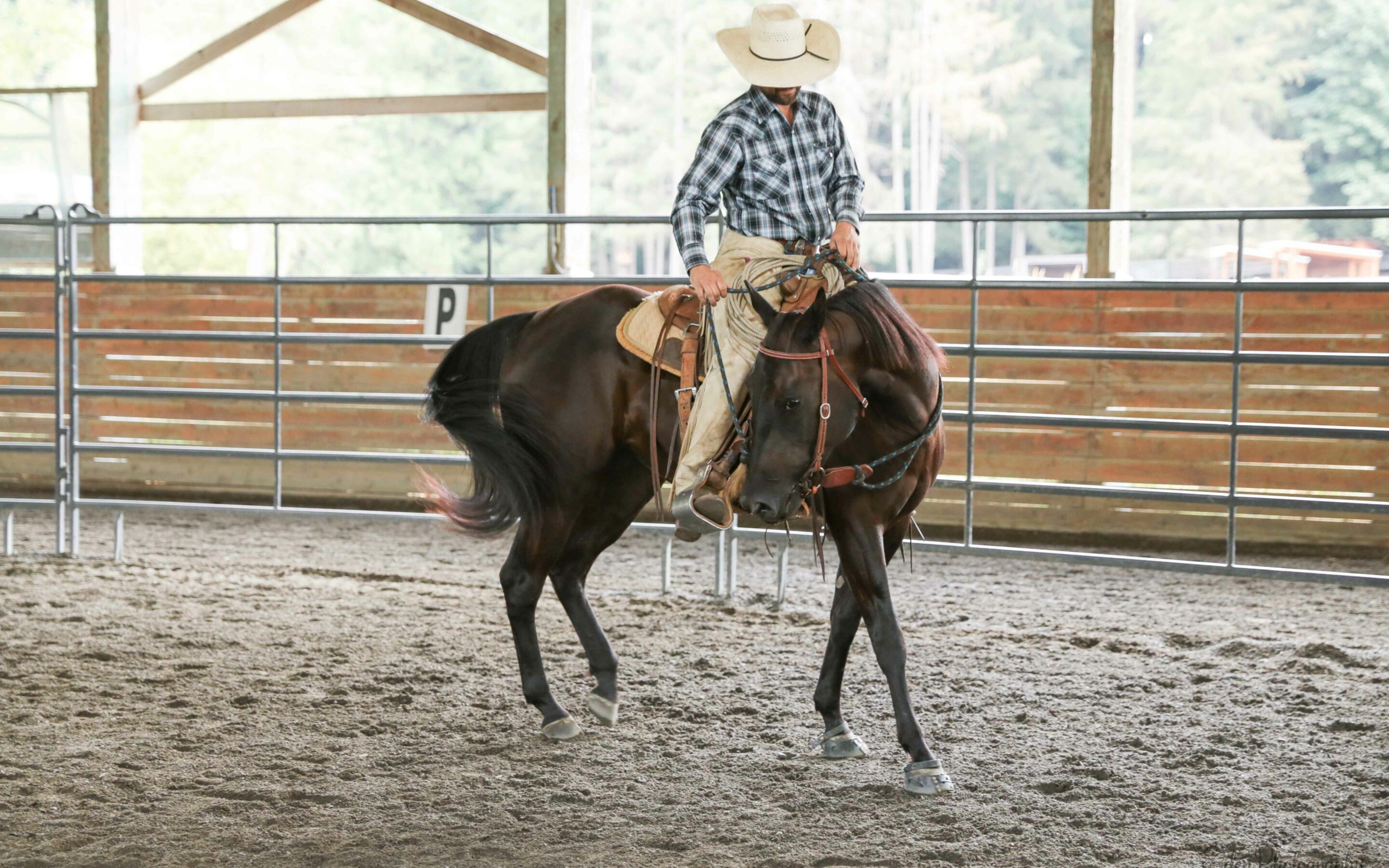 Horsemanship Clinic with Joel Connor