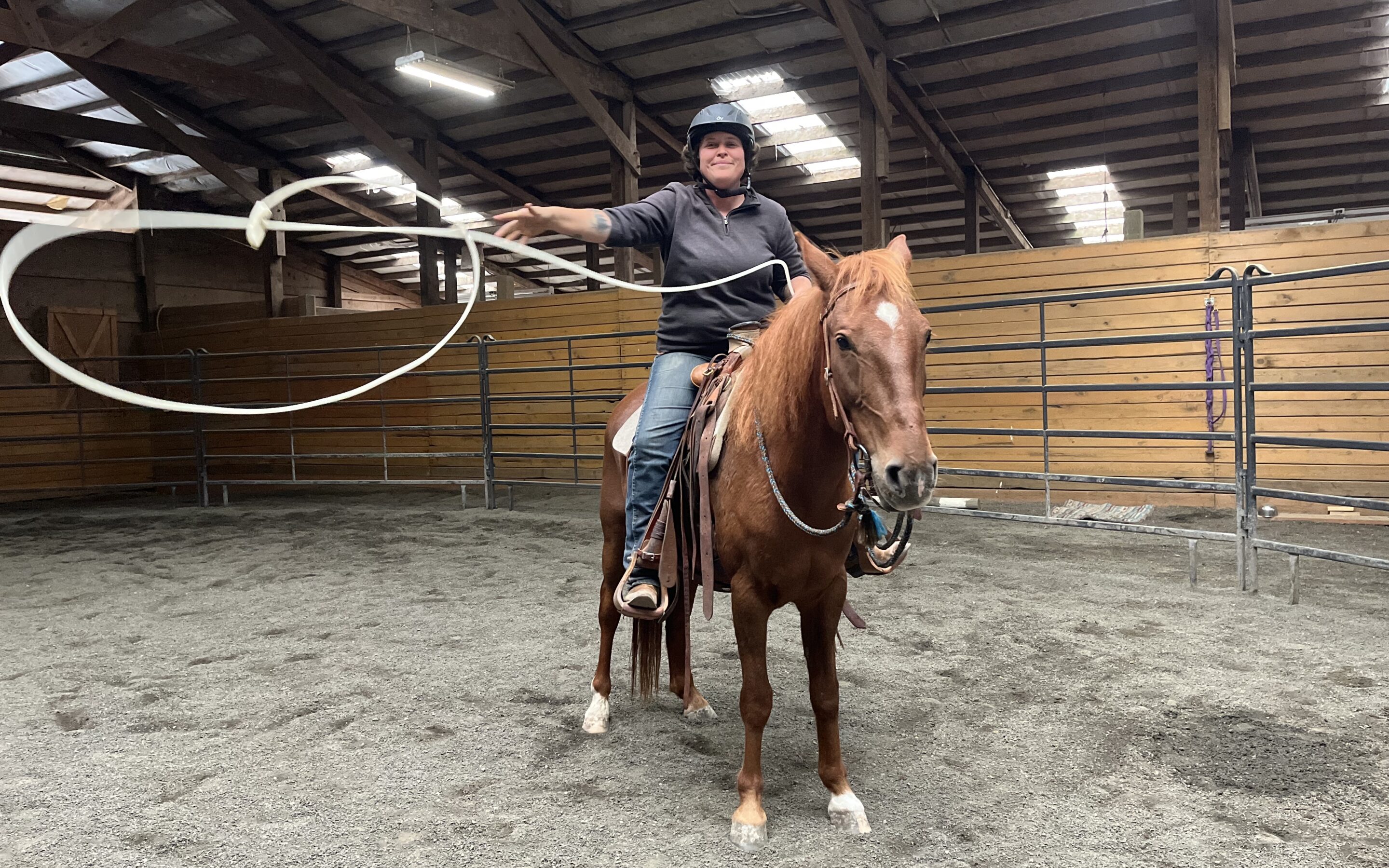Cow Horse (in training) — Jacob
