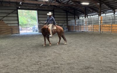 Veronica Under Saddle