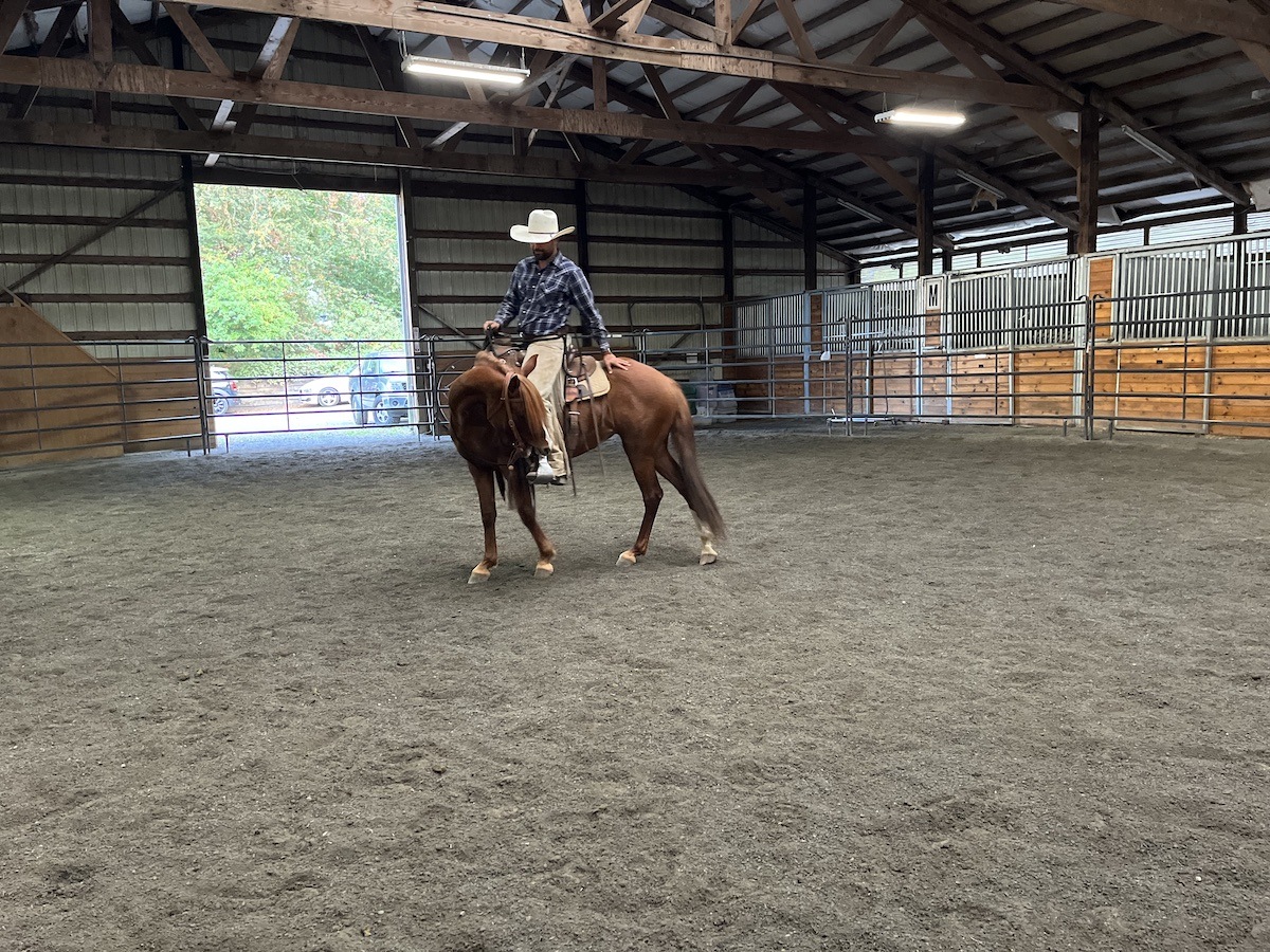 Veronica Under Saddle