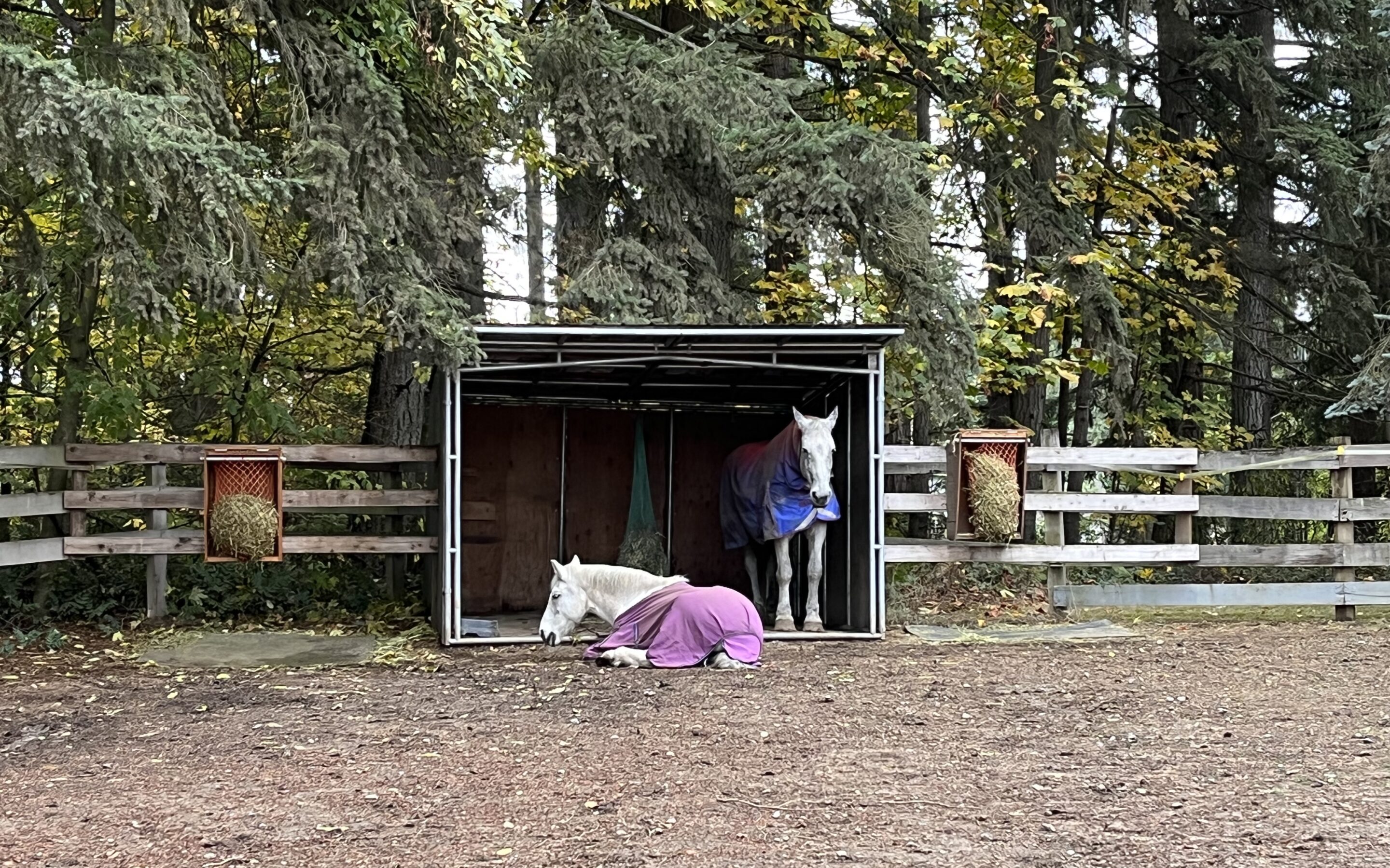 Camille and Sebastian, peas in a pod