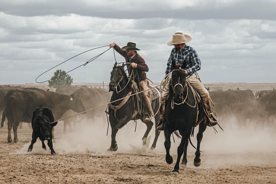 Joel Conner Clinic in November