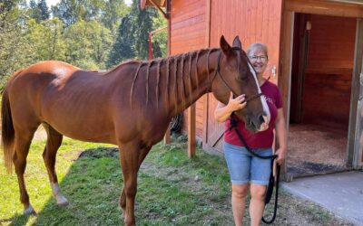 Pomme is adopted!