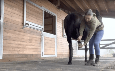 Gabby Picks Up Her Hind Feet