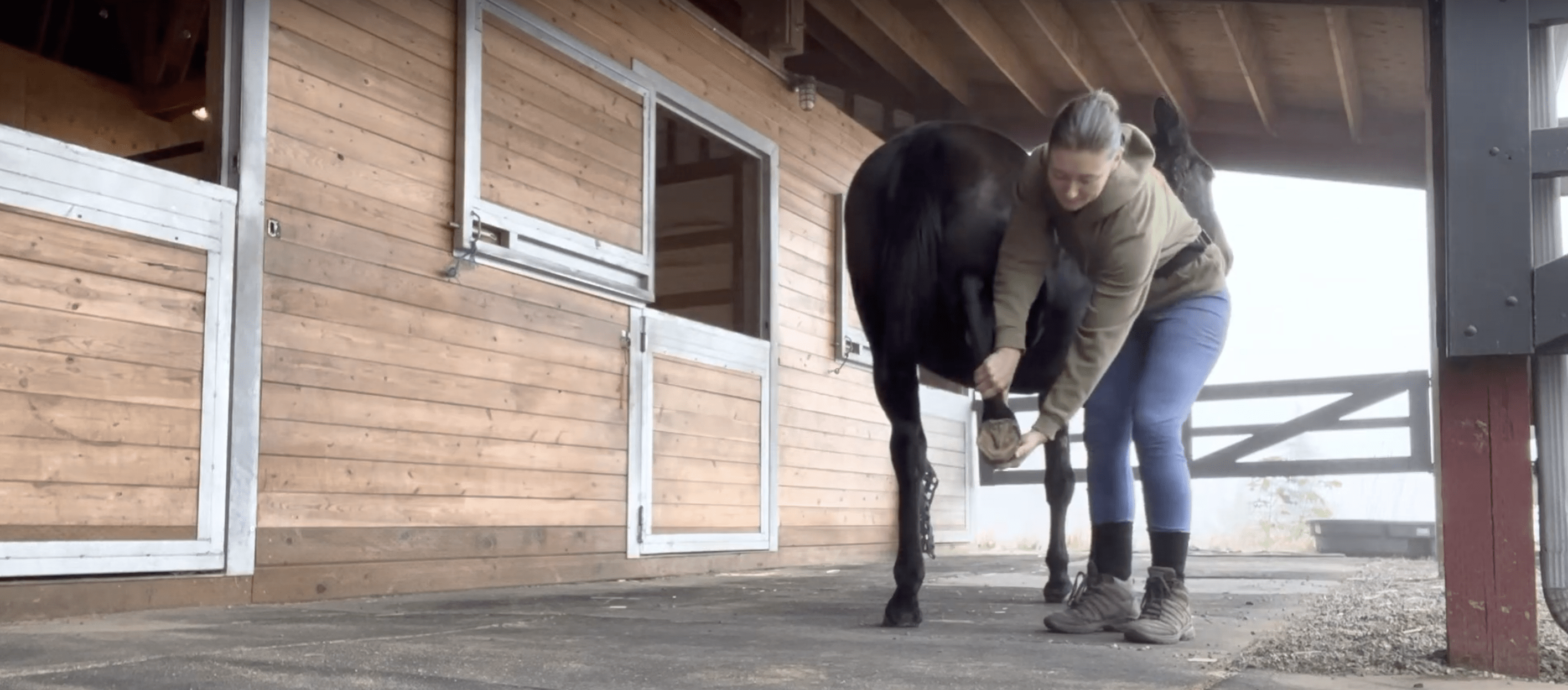 Gabby Picks Up Her Hind Feet