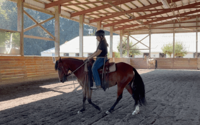 Pepper in the Arena