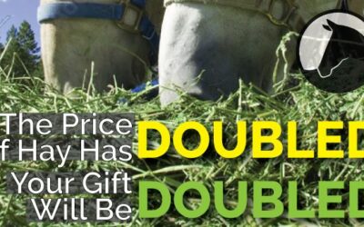 Hay for Our Herd