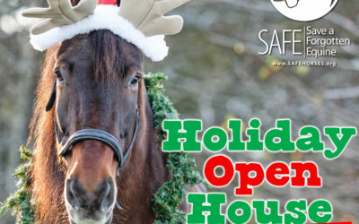 SAFE Holiday Open House