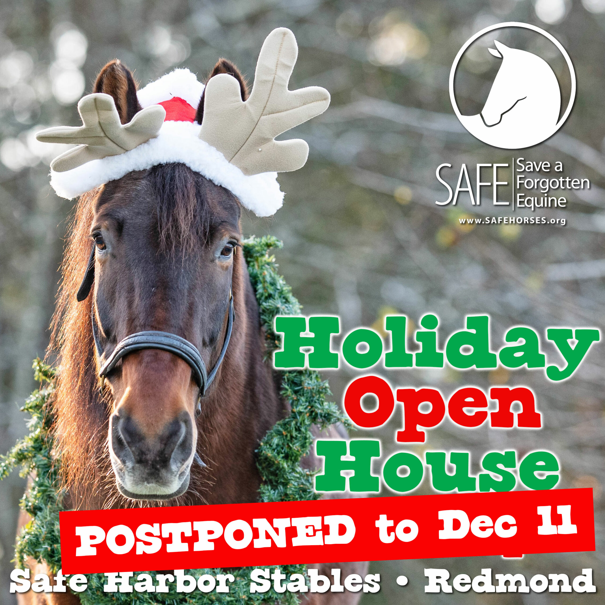 POSTPONED: SAFE Holiday Open House