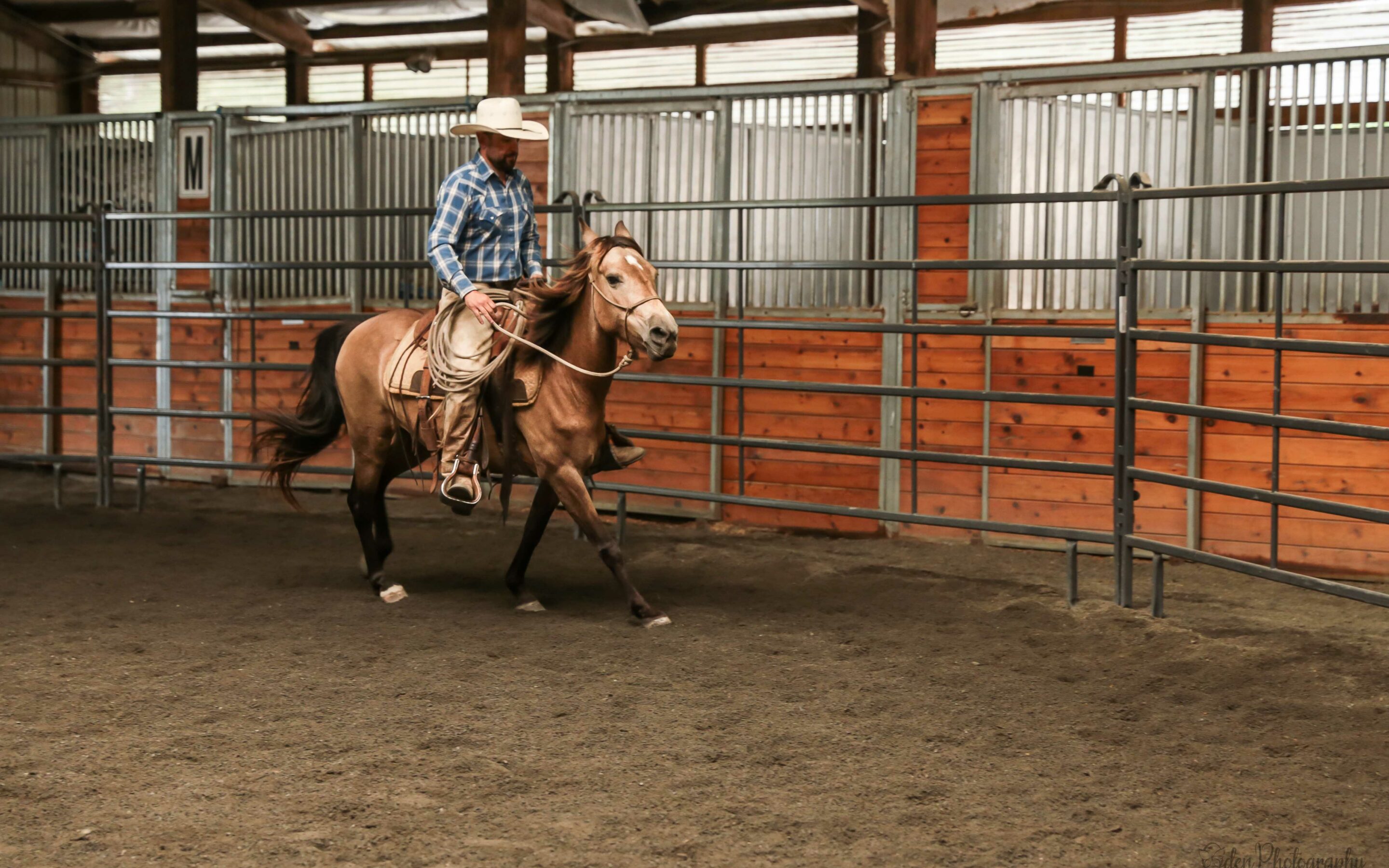 Giddy Up, Esme!