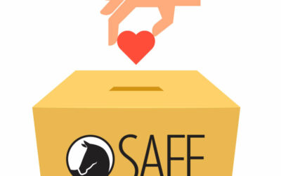 SAFE Tax Donation Receipts were emailed yesterday!