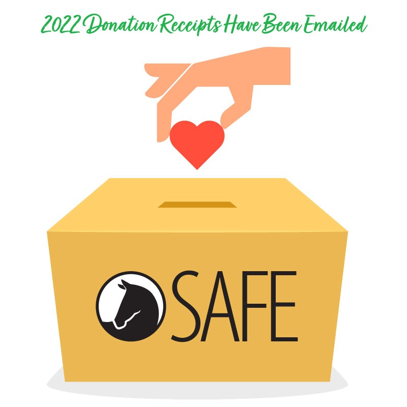 SAFE Tax Donation Receipts were emailed yesterday!
