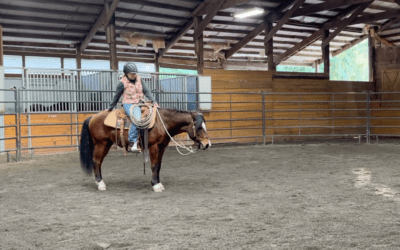 Training Update: Artie