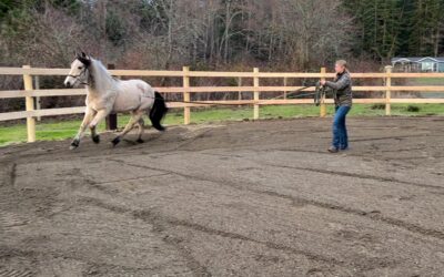 Alumni Update: George