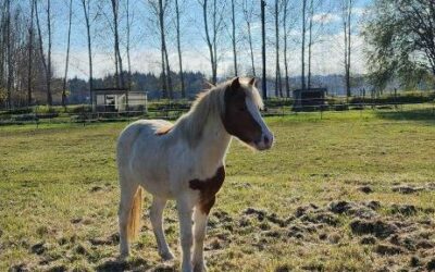 Alumni Update: Doolin