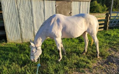 Alumni Update: Stormy