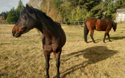 Alumni Update: Millie