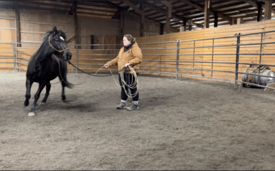 Training Update: Moshi
