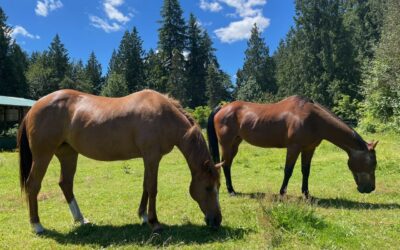 Alumni Update: CJ and Rosie