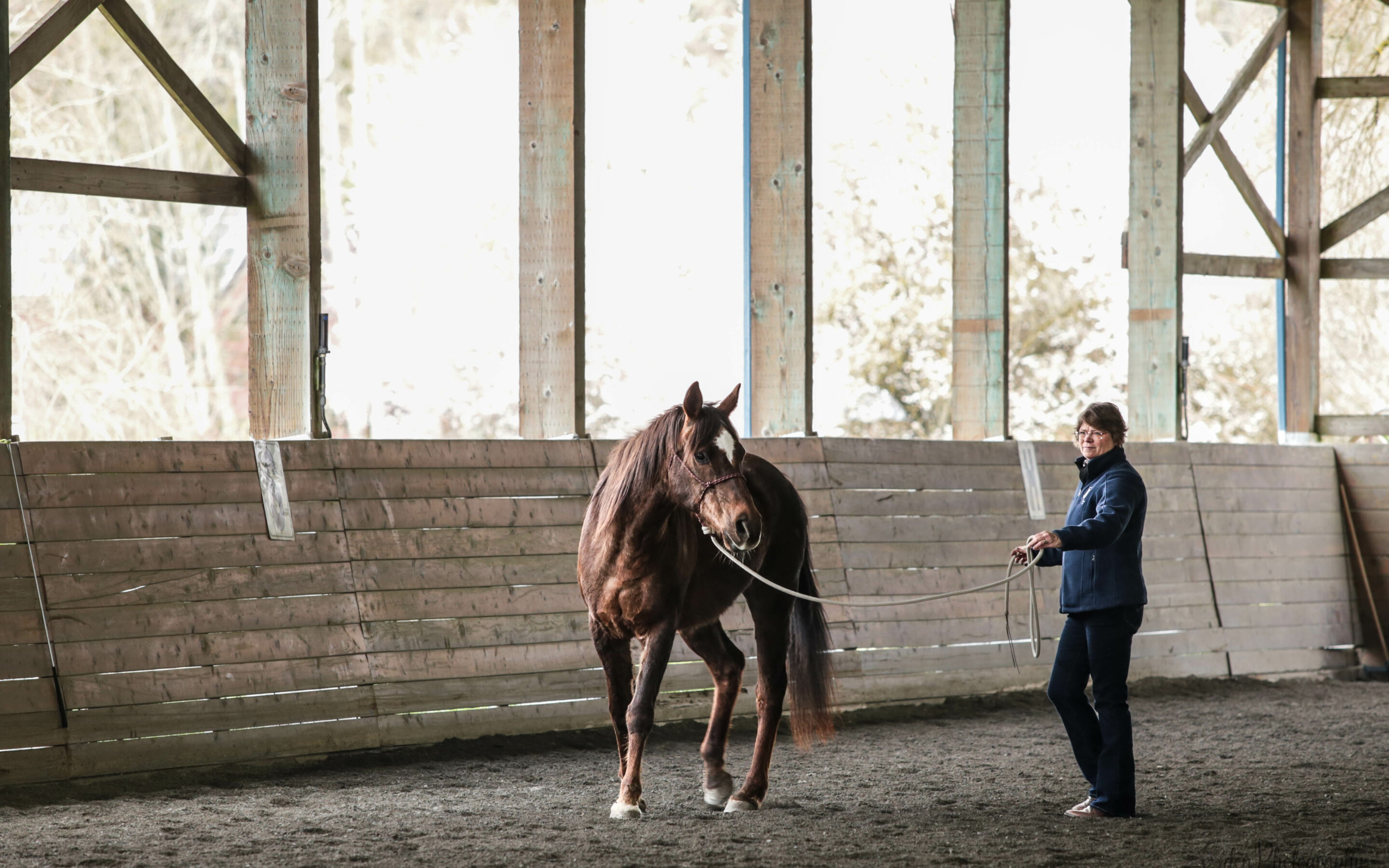 March Joel Conner Clinic Report: Brandy