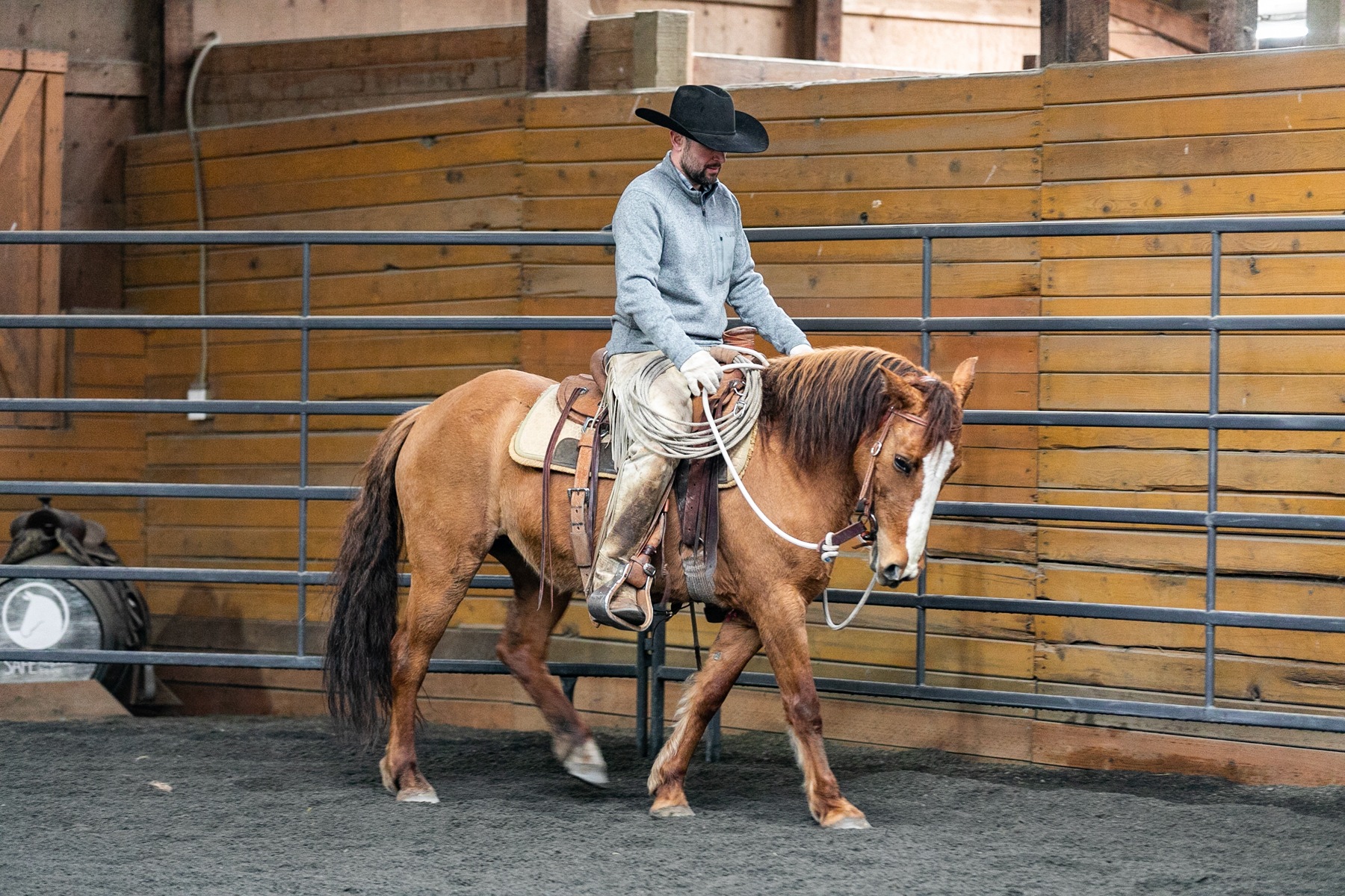 Lacey, Back in the Saddle