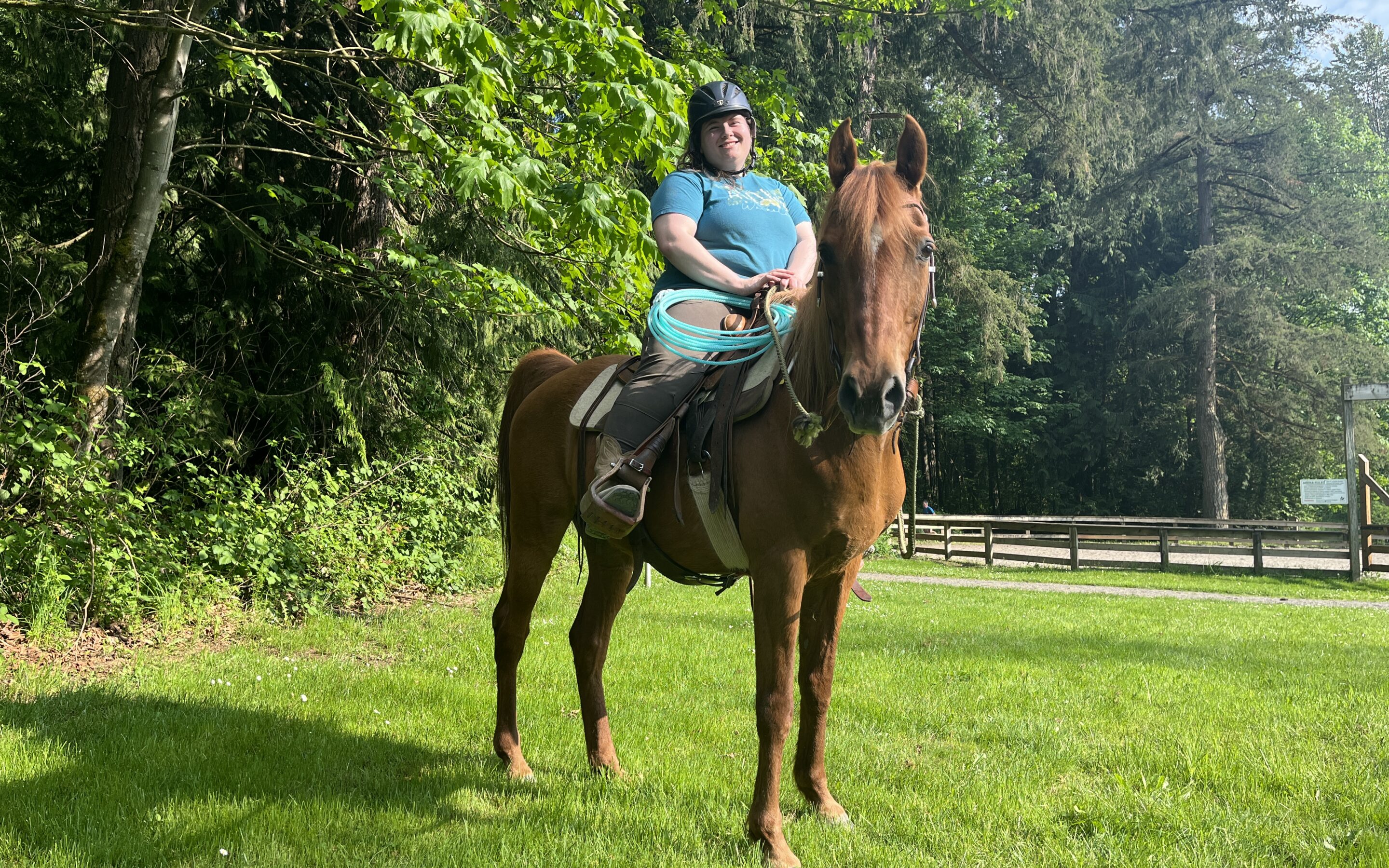 Trail Horse Declan