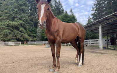 Tiva’s Journey, So Far
